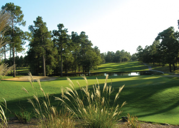 Home - Santee Cooper Golf