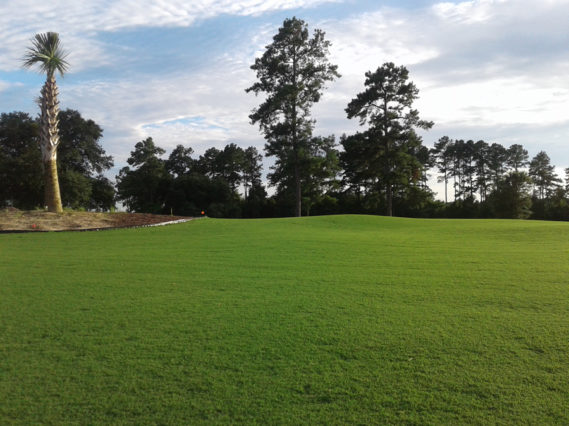 Palmetto Traverse Putting Experience Santee Cooper Golf